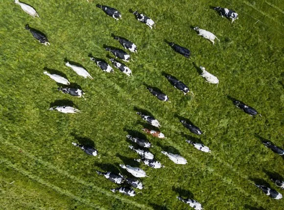 The Lithuanian company bringing sustainability to the food industry