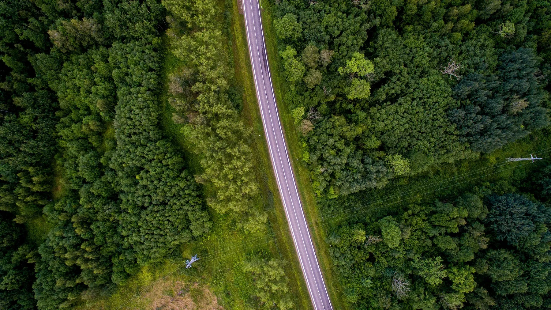 Lietuva – viena geriausių šalių verslui: įsitvirtino pasaulio reitinguose