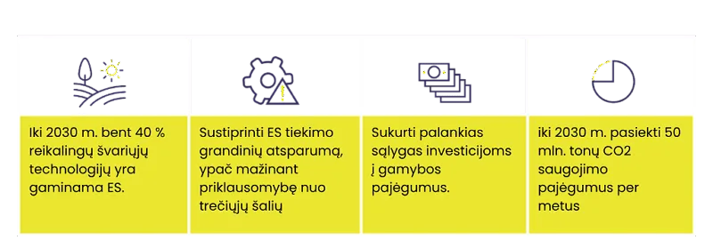 NZIA tikslai