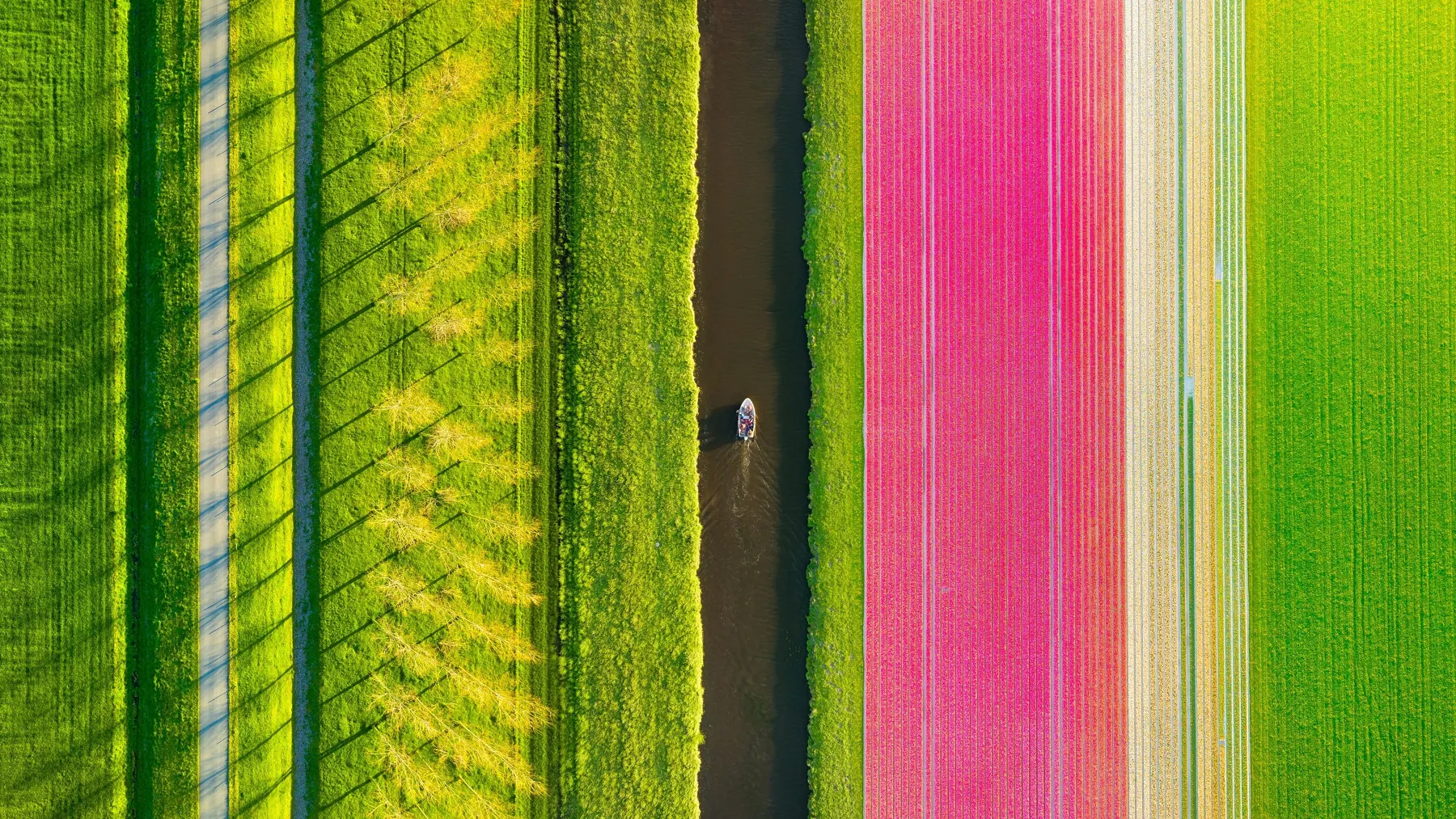 Nyderlandai