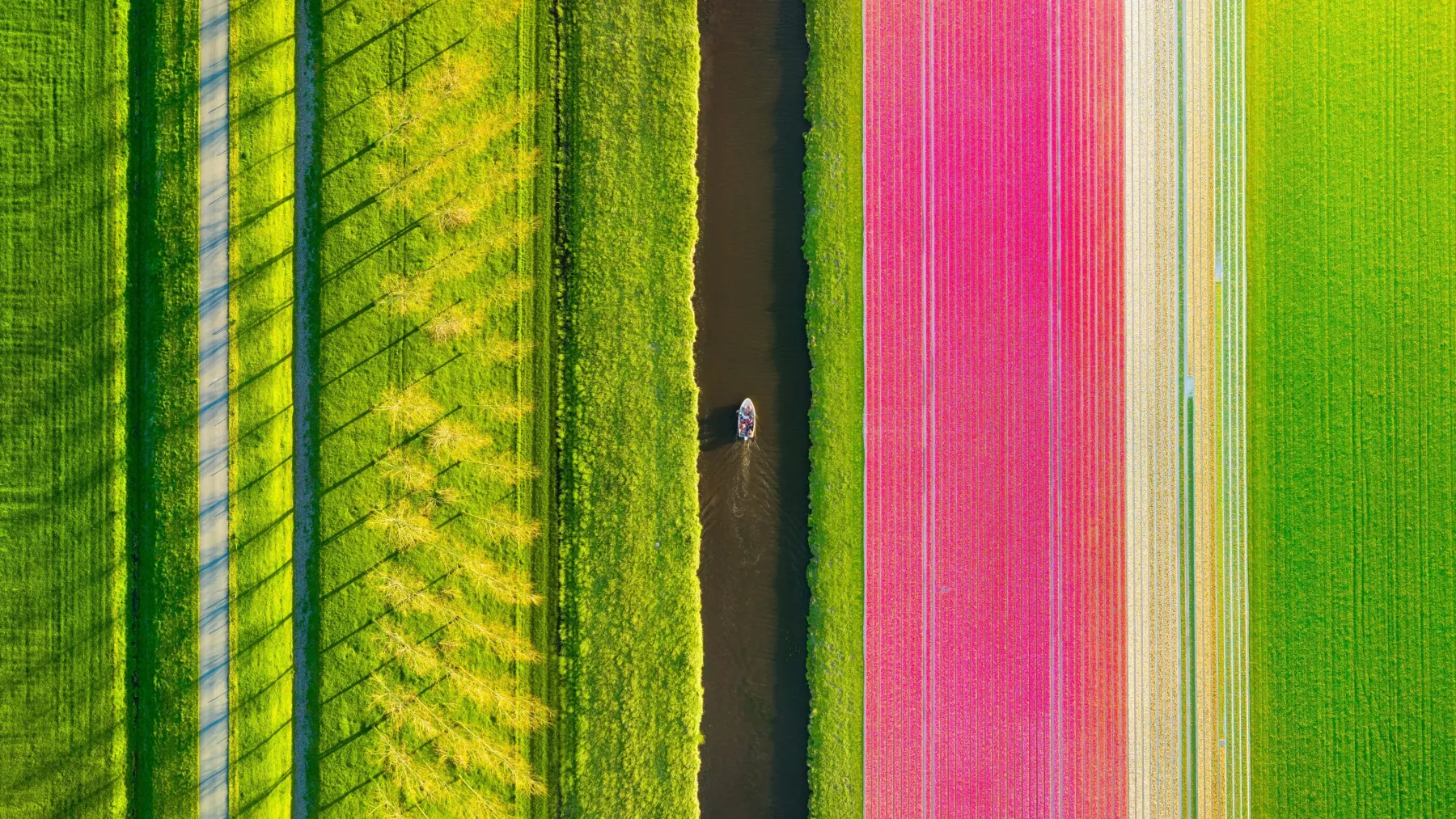 Nyderlandai