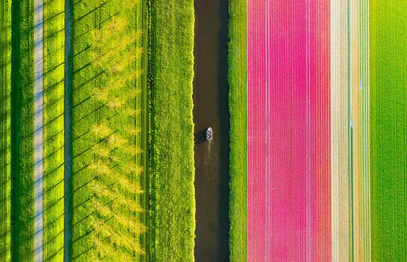 Nyderlandai