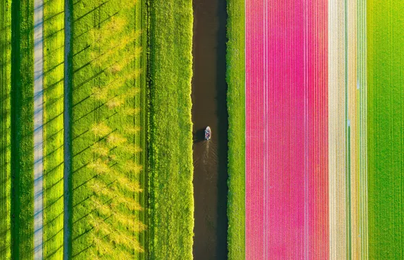 Nyderlandai